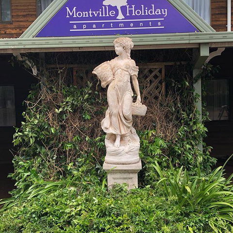 Montville Holiday Apartments - Tourism Brisbane 6
