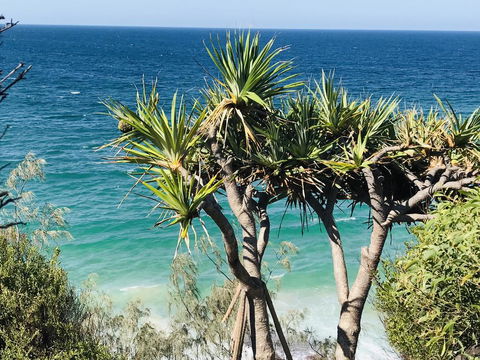 Waves And White Horses Seaview Retreat (adults Only) - Tourism Brisbane 0