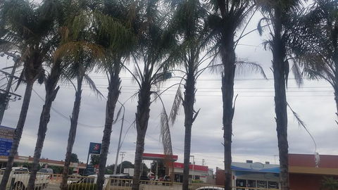 Wentworth Club Motel - Tourism Brisbane 2