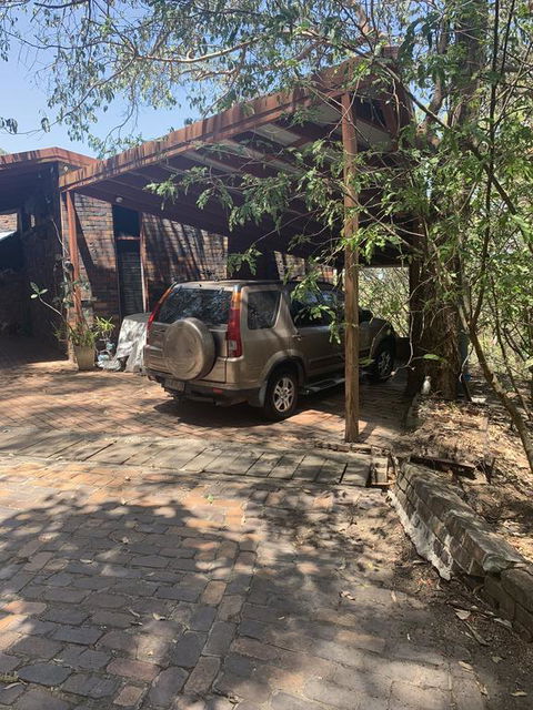 Where The Forest Meets The Sea On The Gold Coast - Tourism Brisbane 3