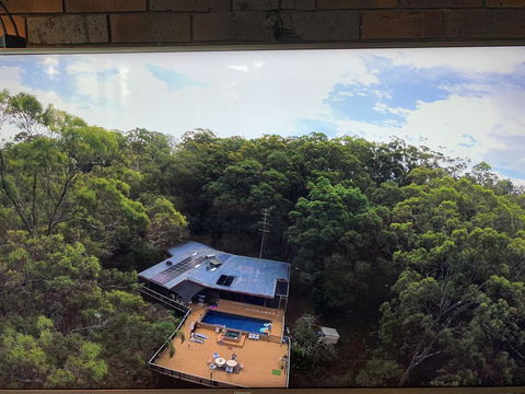 Where The Forest Meets The Sea On The Gold Coast - Tourism Brisbane 1