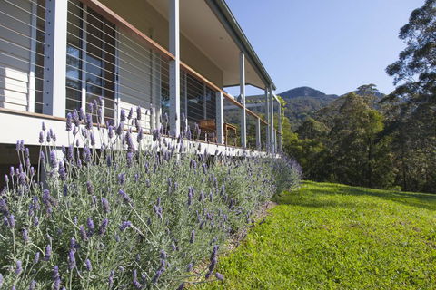 Wilderberry Cottage - Tourism Brisbane 3