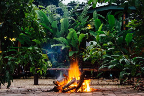 Wildwood - Brisbane Tourism 2