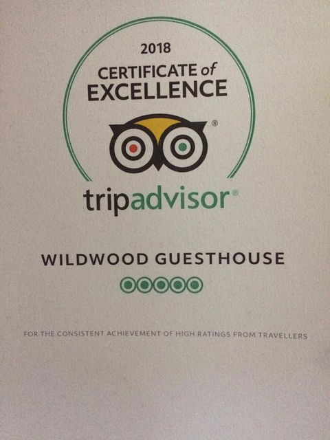 Wildwood Guesthouse - Tourism Brisbane 3