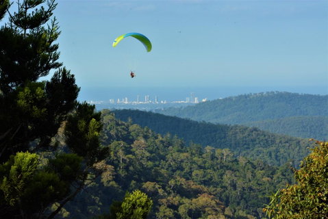 Willow Cabin - Brisbane Tourism 1