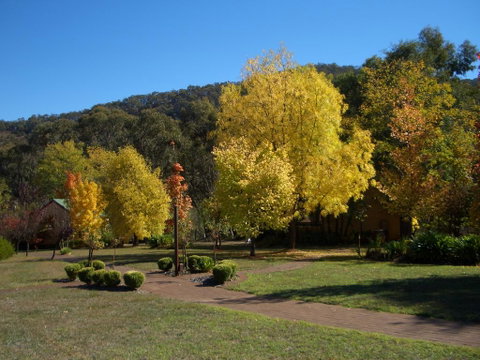 Willowlake Cottages - Brisbane Tourism 0