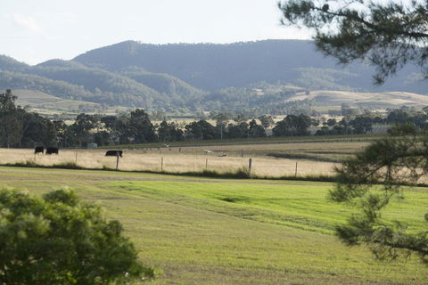 Windarra Lodge - Brisbane Tourism 3