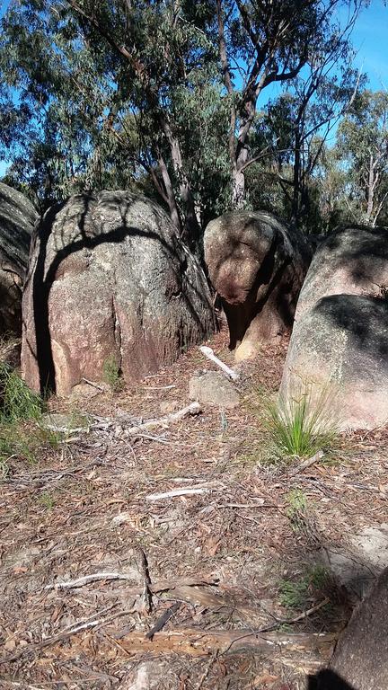 Windswept Country Retreat - Tourism Brisbane 3