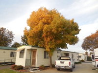 Book Wodonga Accommodation Vacations Brisbane Tourism Brisbane Tourism