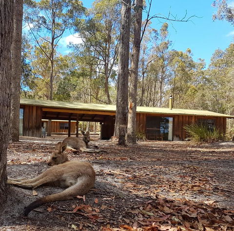 Woodbine Park Eco Cabins - Brisbane Tourism 2