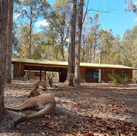 Woodbine Park Eco Cabins - Brisbane Tourism 2