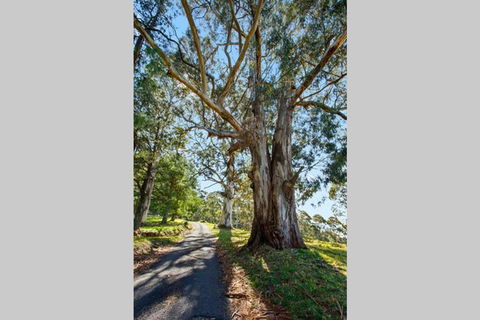 WOOLWAY - Tourism Brisbane 1