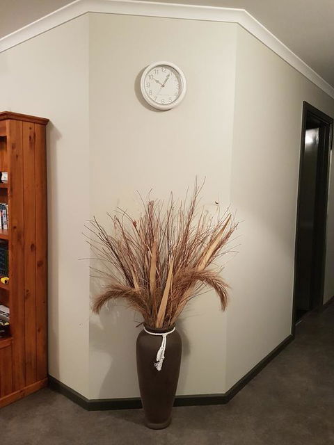 Wudinna Farm View - Tourism Brisbane 3