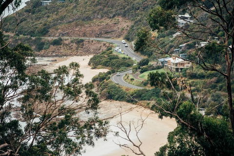 WYE UP - Through The Treetops. Out To The Sea. - Tourism Brisbane 2