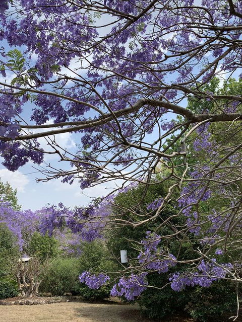 Wyndover Mountain Retreat - Tourism Brisbane 1