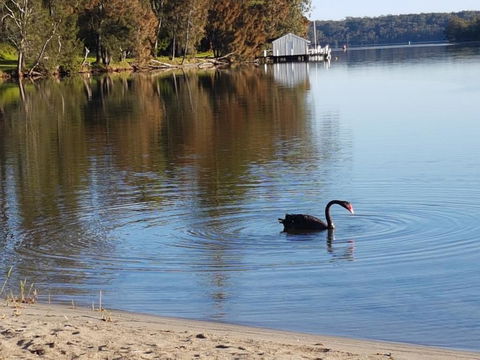 Wyreepi River Cottage - Tourism Brisbane 3
