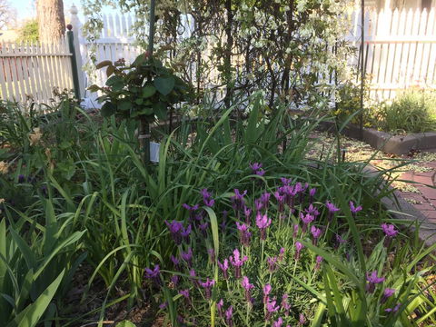 Yapera On Lucan - Tourism Brisbane 2