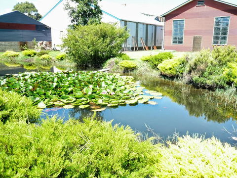 Yarragon Dairy Family Room - Tourism Brisbane 1