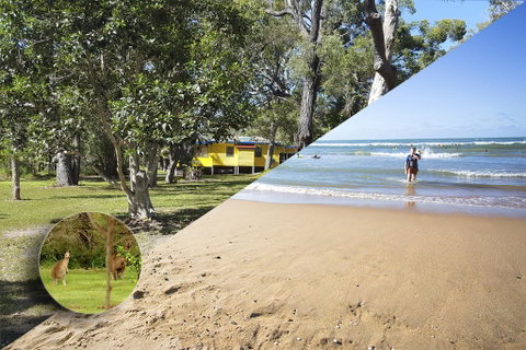 Yellow Cottage - Bush And Beach - Tourism Brisbane 0