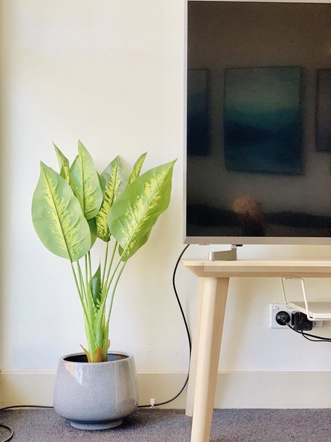 ZEN Homes On Collins - Brisbane Tourism 3