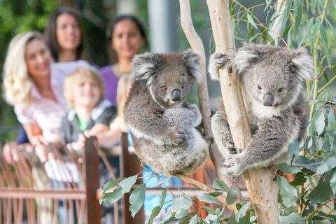 A 3BR Apt Next To Melbourne Zoo FREE Parking - Tourism Brisbane 2