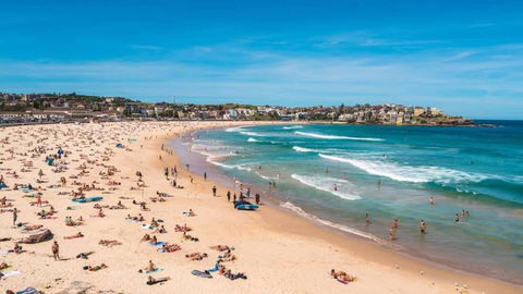 A Lovely Beach Studio 5min Walk To Bondi Beach - Tourism Brisbane 2