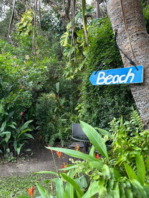 Absolute Beach Front Home -Dogs, Surf, Relax, Bush - Brisbane Tourism 2