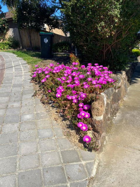 ADA Homestay - Tourism Brisbane 3