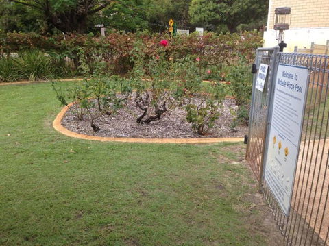 Affordable Inglewood Apartment+Pool - Brisbane Tourism 4