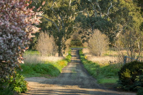 AL RU Farm - Brisbane Tourism 2