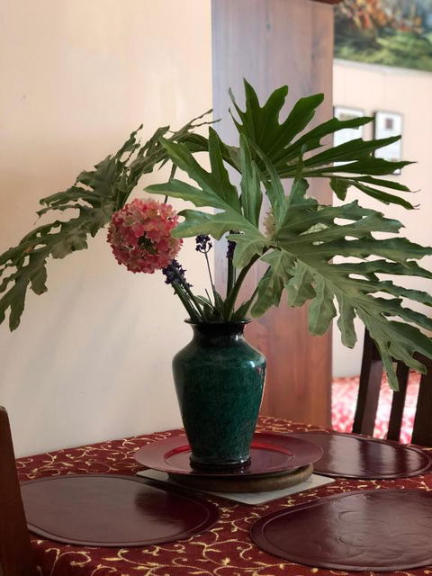 Albany Foreshore Guest House - Tourism Brisbane 2