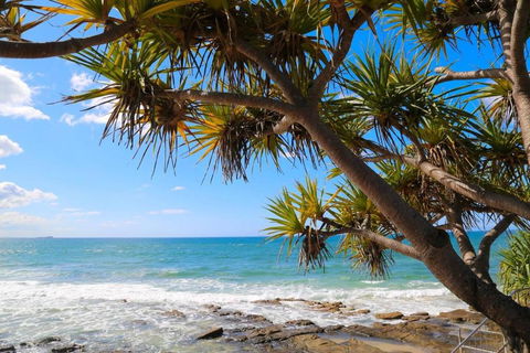 Alex Heads Beachfront Resort 2 Bedroom Apartment - Tourism Brisbane 3