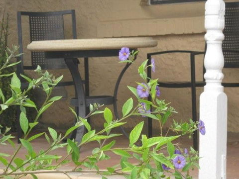 Amalie Cottage Waikerie Unit 1 - Brisbane Tourism 2