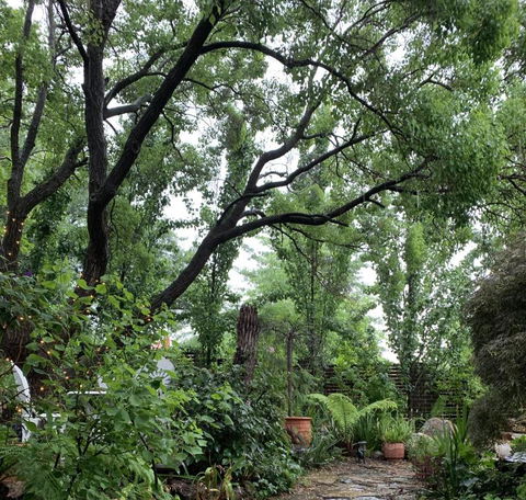 Ananda Cottage - Tourism Brisbane 0