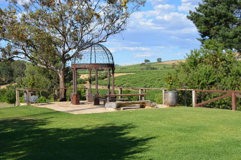 Angaston Vineyards Motel - Tourism Brisbane 3