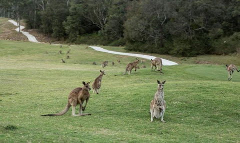 Anglesea River Apartment 23 - Brisbane Tourism 4