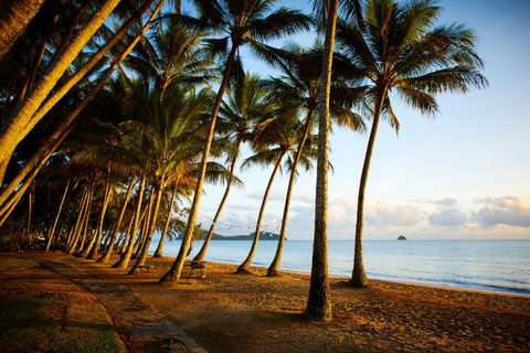 Alamanda Palm Cove By Lancemore - Brisbane Tourism 3