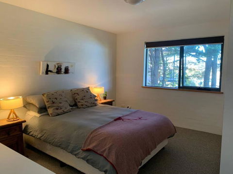Apartment Minutes To Lake - Brisbane Tourism 3