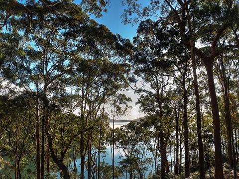Aqua Vista - Brisbane Tourism 4