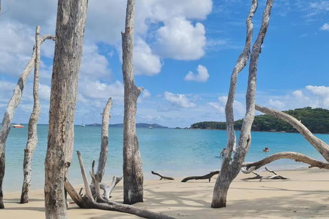 ARay At Cooee Bay - Apt B - Beach House Yeppoon - Brisbane Tourism 1