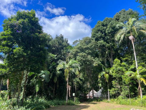 Avana Byron Glamping - Brisbane Tourism 2