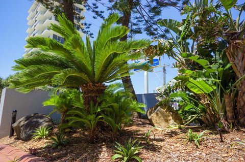 Carrington Court - Tourism Brisbane 37