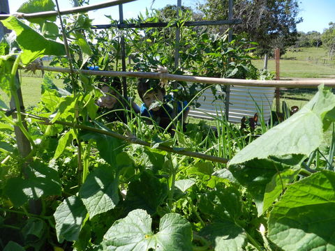 Hay Point Country BnB - Brisbane Tourism 17