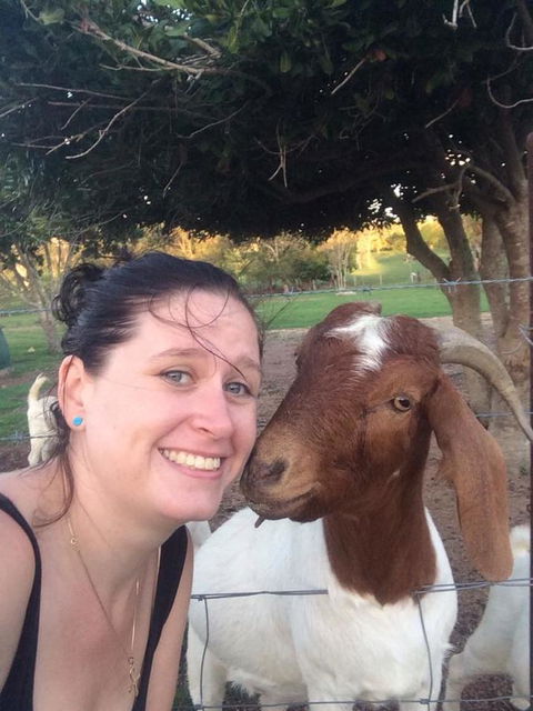 Hay Point Country BnB - Brisbane Tourism 13