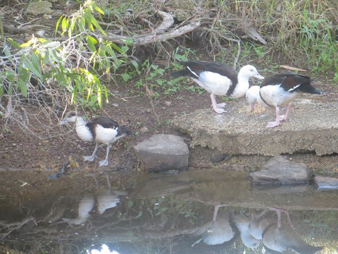 Hay Point Country BnB - Brisbane Tourism 22