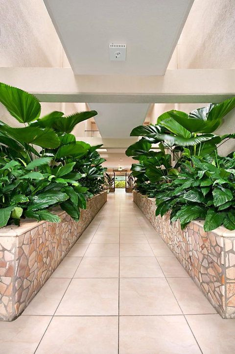 Shantara Resort Port Douglas - Adults Only Retreat - Brisbane Tourism 27