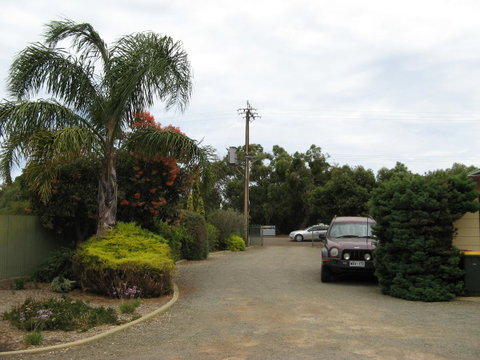 Ficifolia Lodge - Tourism Brisbane 1