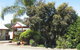 Ficifolia Lodge - thumb 25