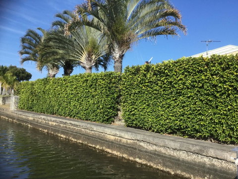 Private Canal Duplex With Pontoon - Oleander Drive, Bongaree - Brisbane Tourism 8