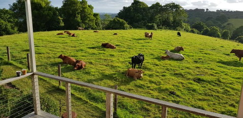 Seasons Of Maleny B&B - Brisbane Tourism 1